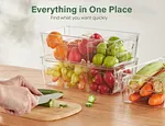 food storage organizer with removable dividers